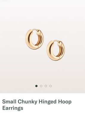 NWT Aurate Small Chunky Hinged Hoop Earrings - Gold